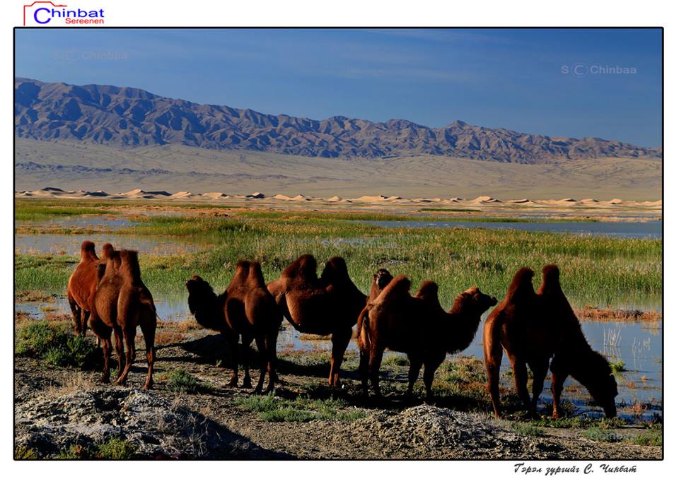 TREKKING IN GOBI DESSERT « JAGD and TOUR